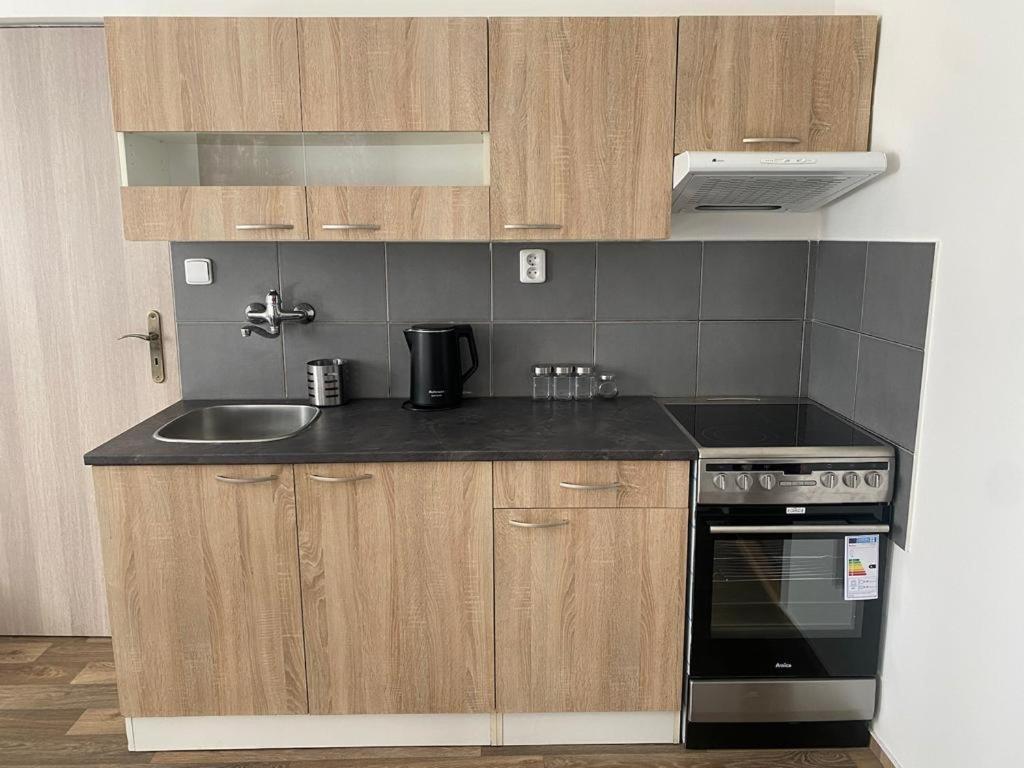 Cerna Ruze - Apartman 4 Pilsen Exterior foto